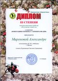 Диплом 3 степени Окружного конкурса новогодних атрибутов "Лес встречает новый год" Природный парк "Сибирские Увалы"